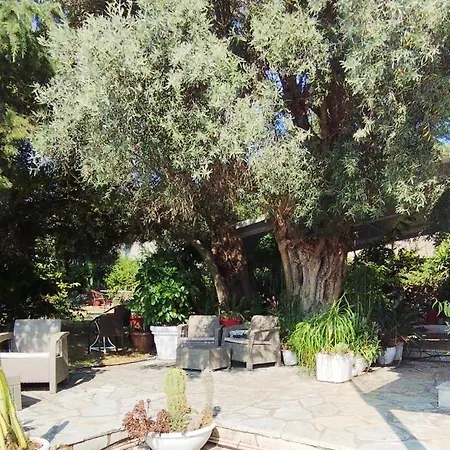 Xenia & Antonis Guest house
