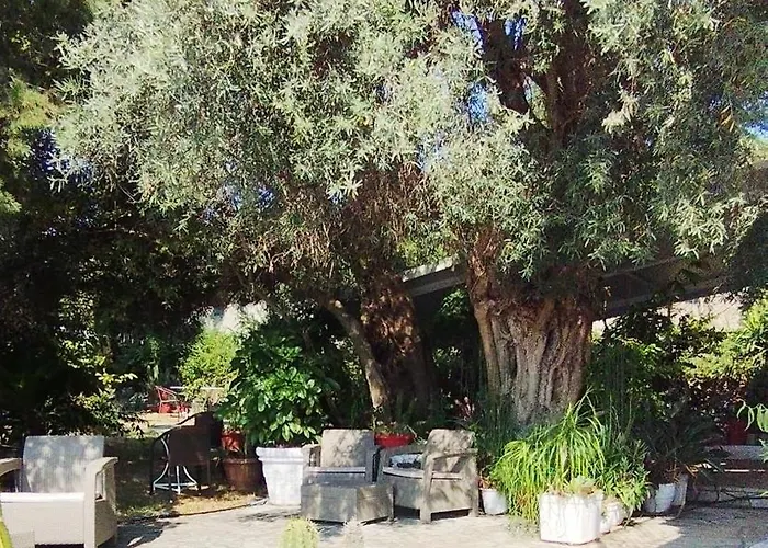 Xenia & Antonis Πανσιόν